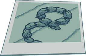 Evidence photo: a coiled rope